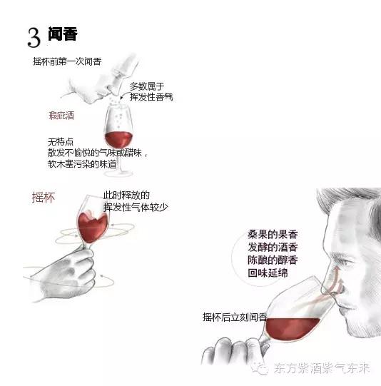 一杯紫酒,轻松周末,采摘品鉴邀您相约