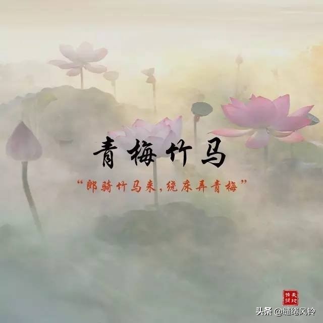 古诗词里的绝美成语,古诗词中绝美成语