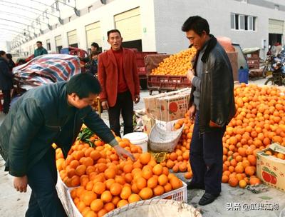 老批发商揭秘：到批发市场买水果，不懂这些“*规则潜**”要吃大亏