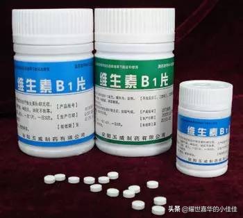 养猪防蚊蝇神器,养猪防蚊蝇技术