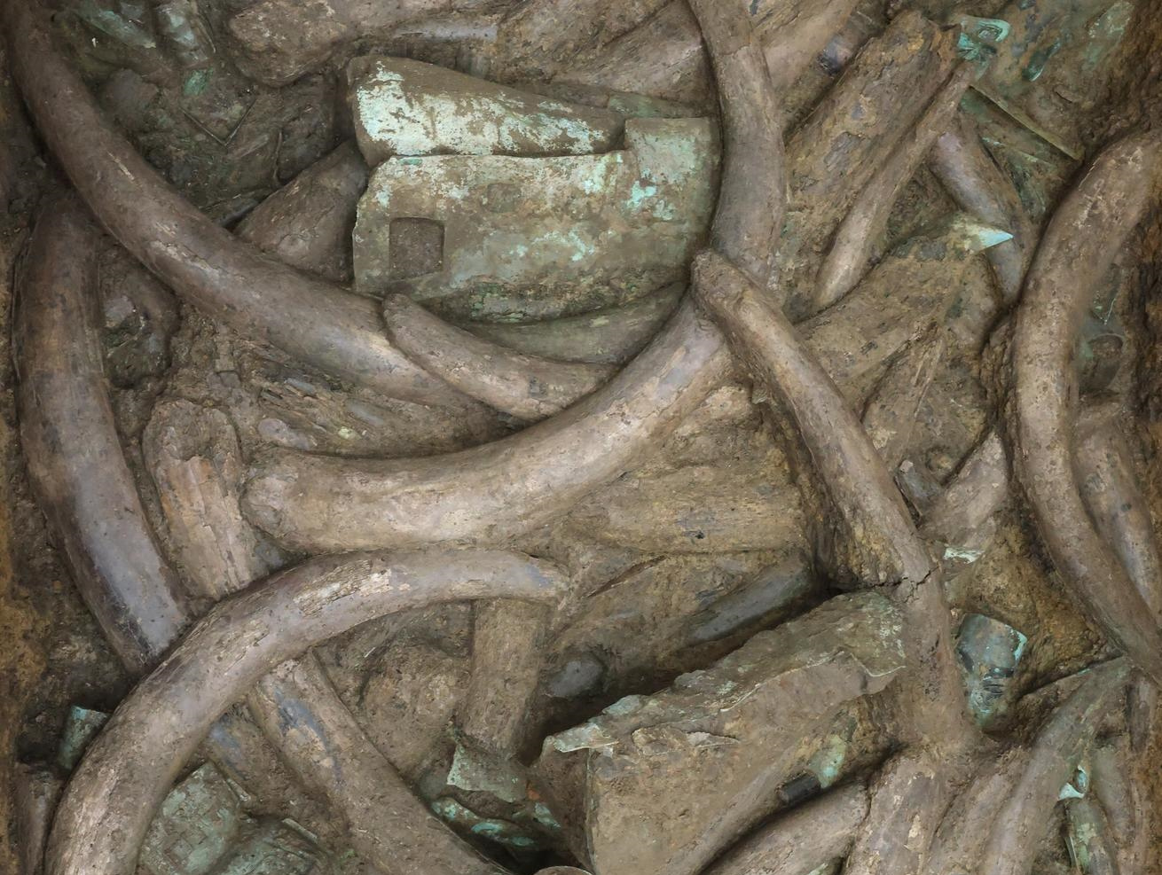 检测碳14的设备,三星堆碳14