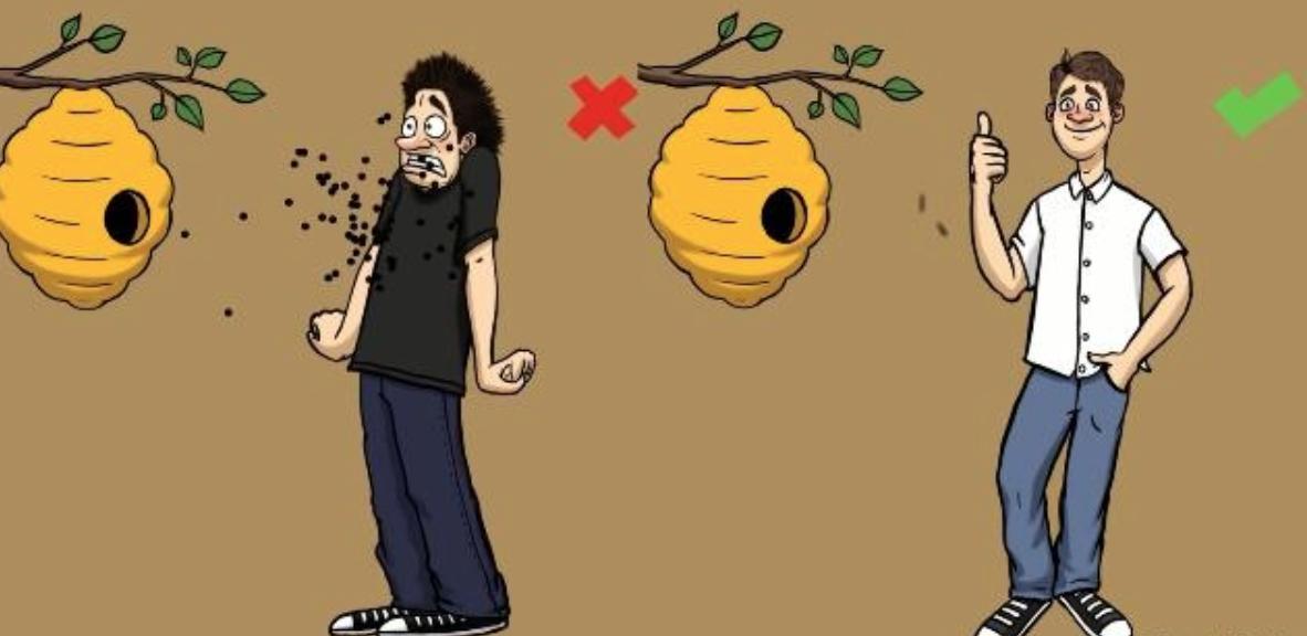 动物遇到危险会怎么做,野外遇到危险动物怎么办