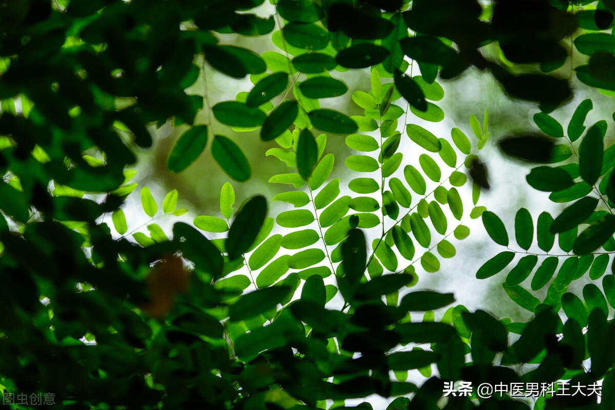 中医治肝胆湿热方剂分析,肝胆湿热看中医还是西医