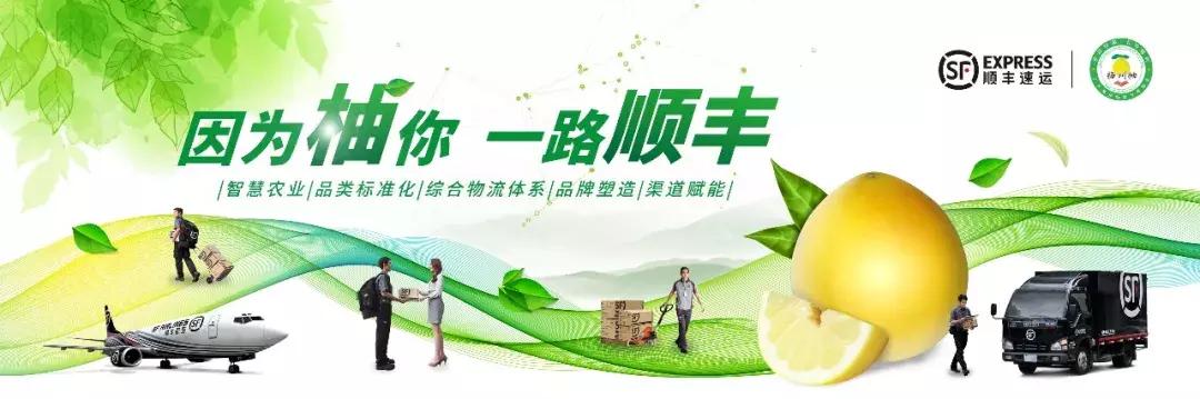 顺丰布局详细讲解,顺丰运营模式及其特点