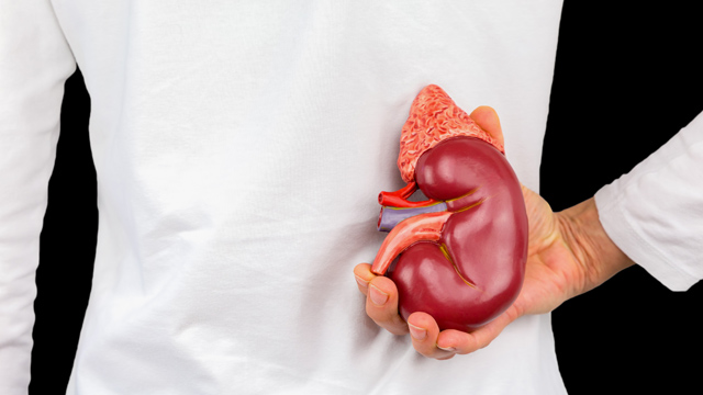 冬季补肾不盲目五个方法巧帮你,补肾三九天还是三伏天补好