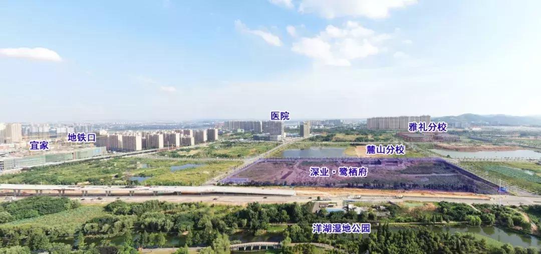 劲爆：中海“双响炮”，摇中2个12600地块！10品牌房企抢滩洋湖