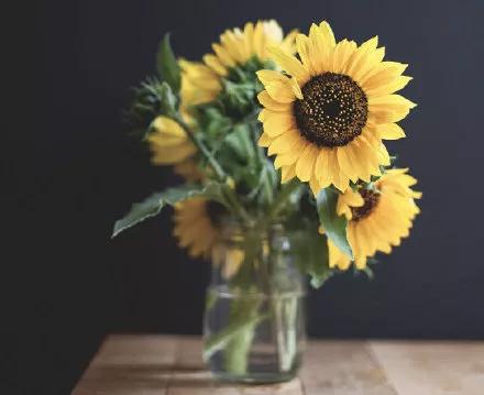 2020年花店营销日历，34个赚钱的好日子「建议收藏」