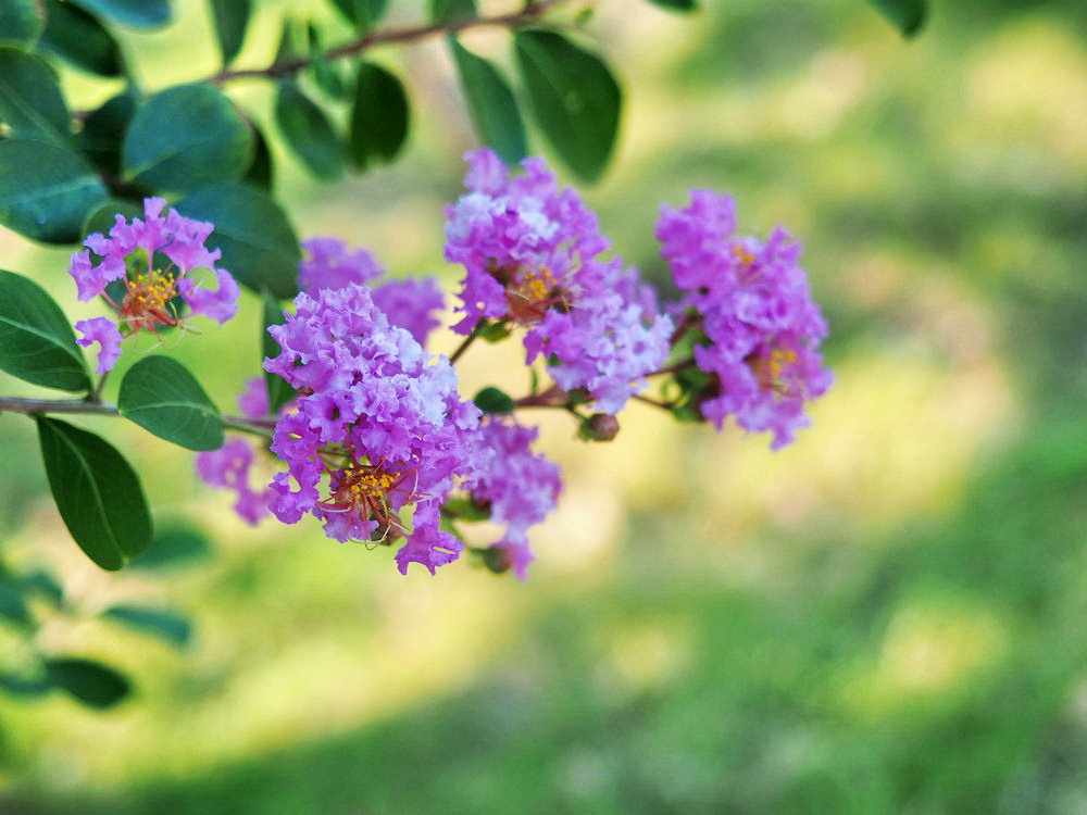 孔子历史上是否真有此人,孔子去世时的碑文