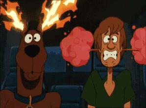 荨麻疹需要忌什么荨麻疹能自愈吗,麻疹处理流程