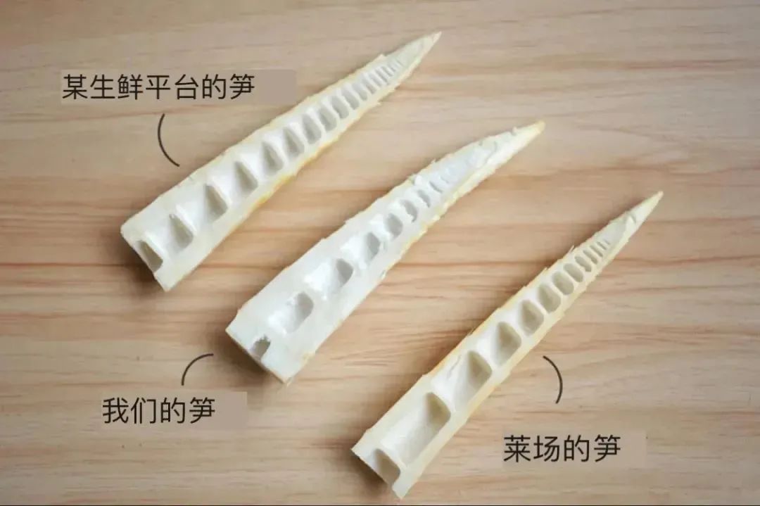 舌尖上的珍味春笋,舌尖上的春笋完整视频