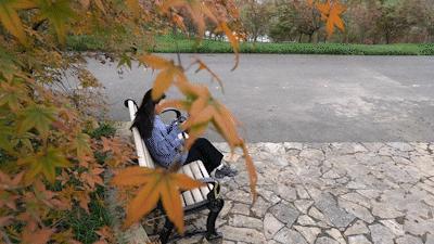 巴南又能耍又有吃的,重庆有什么美食巴南区