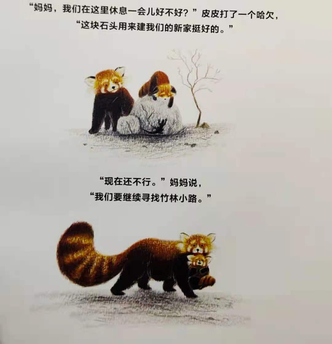 小熊猫回家路图书,小熊猫回家路