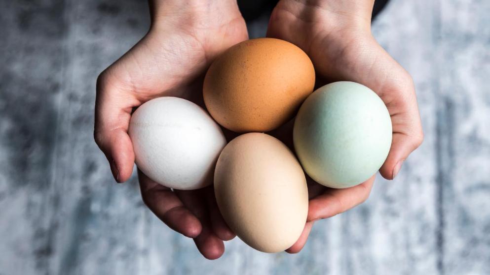 西餐哪些食物营养,西餐有些什么食物