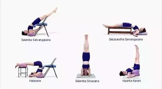 常见的艾扬格瑜伽体式,艾扬格瑜伽23个基本体式