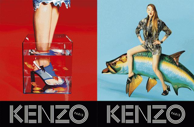 收藏贴纸本,收藏的贴纸