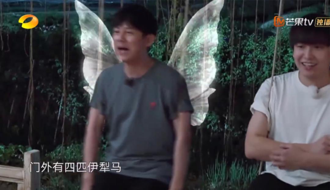 盘点令人“笑出鹅叫”的方言,搞笑方言笑出鹅叫