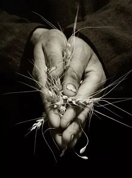 albertwatson鎽勫奖,albert鏃跺皻