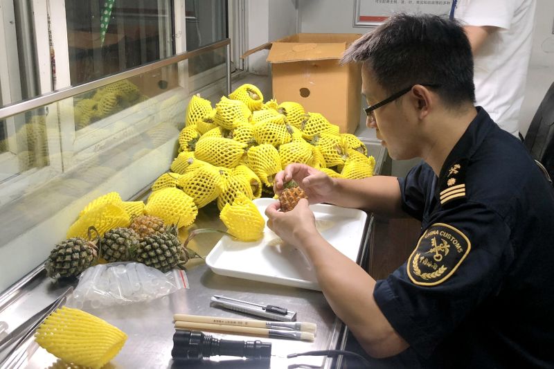 暂停台湾番荔枝和莲雾输入,暂停台湾水果进口有什么影响