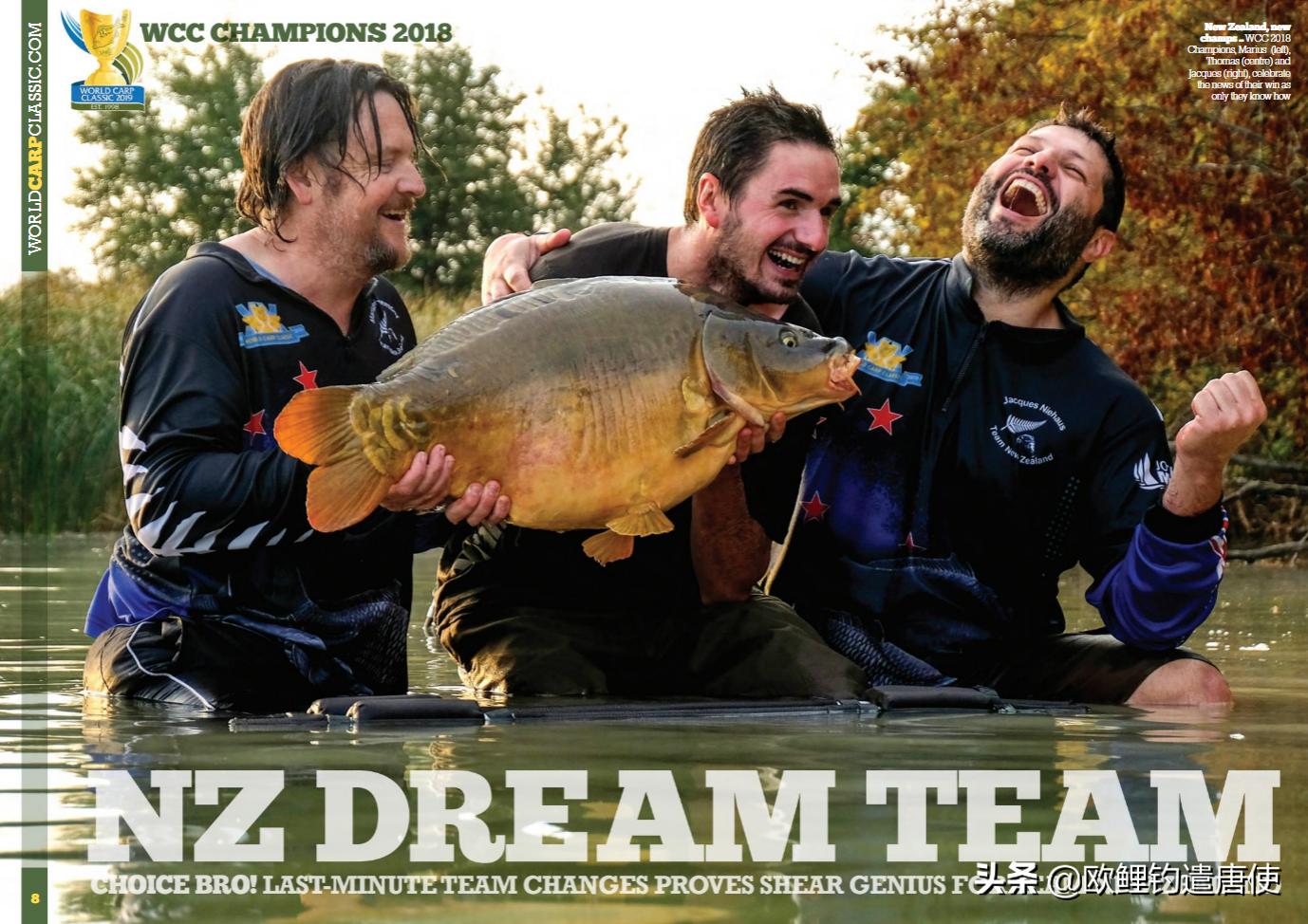 欧鲤钓适合中国吗,欧鲤钓入门