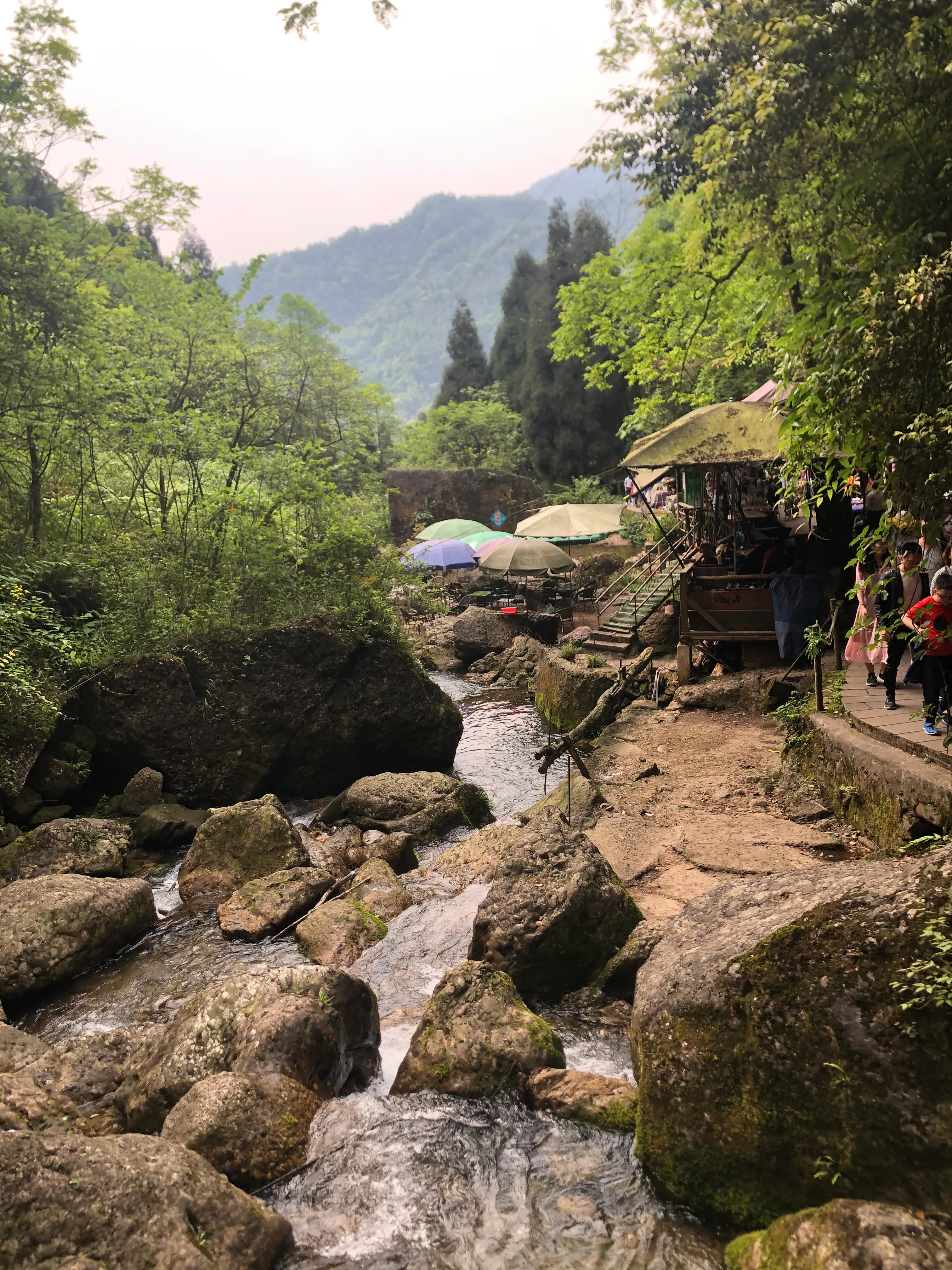 青城山后山一日游耍水攻略,青城山后山最值得去的地方
