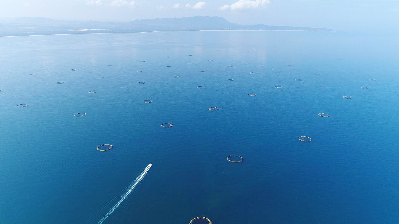 鱿鱼丝当零食有什么坏处,干鱿鱼丝可以当零食吃吗