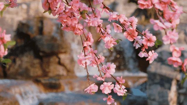绔嬫槬涓囩墿澶嶈嫃闈欏緟鏄ユ潵,涓囩墿澶嶈嫃闈欏緟鏄ユ潵鍘熸枃
