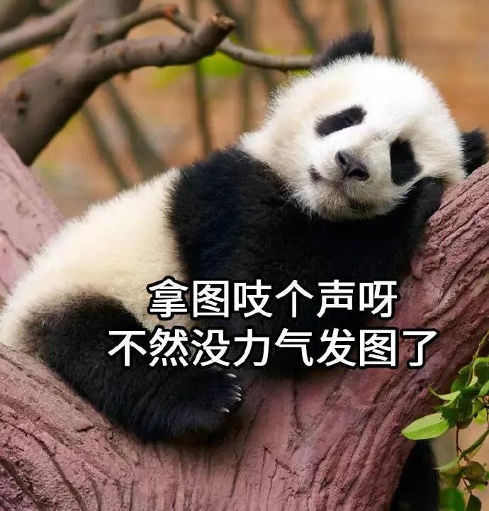 安慰人的表情包动态图片,女生生理期安慰表情包