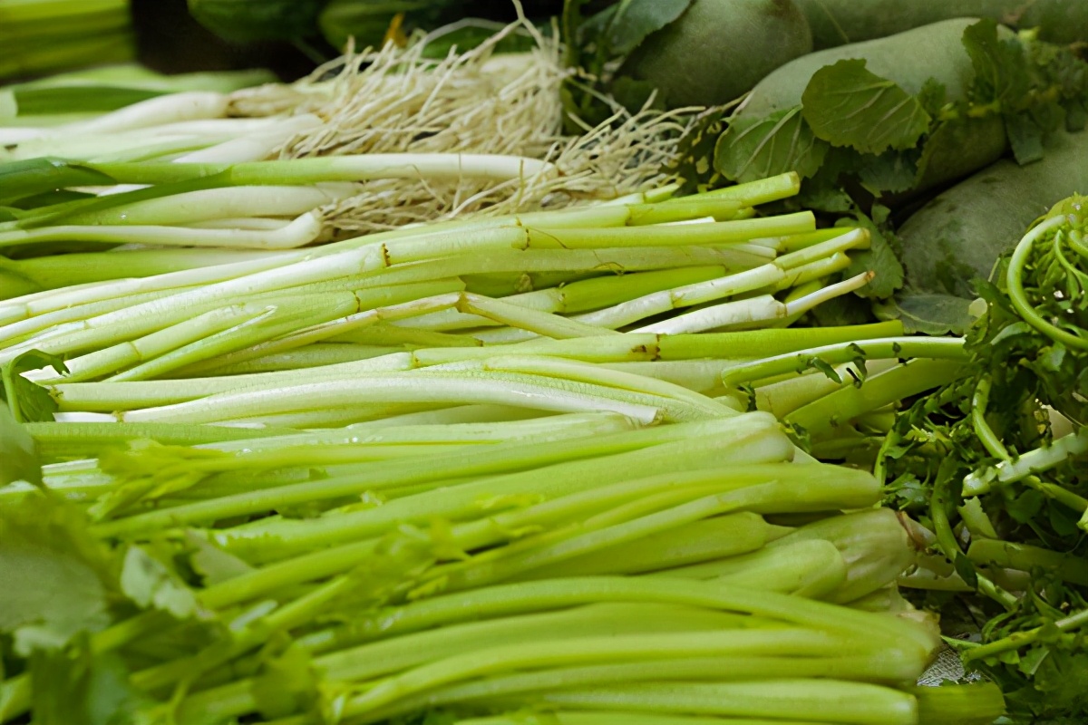 肚子咕咕叫放屁多怎么调理,肚子吃凉了就咕咕叫怎么调理