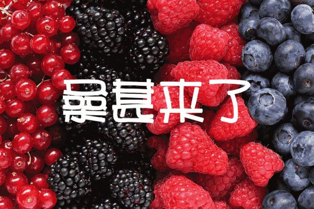 咸阳人:周末,到兴平摘桑葚走!