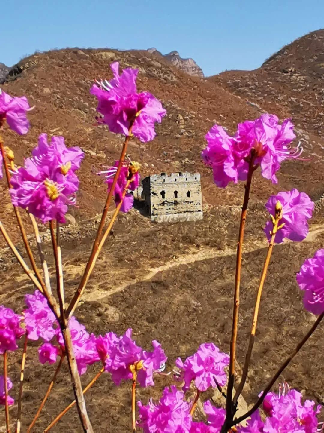 又是一年春光好完整版,又是一年春光好文明旅游