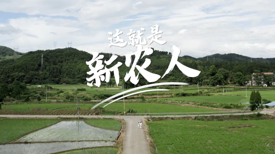 离开体制后创业,离开体制创业成功的企业家