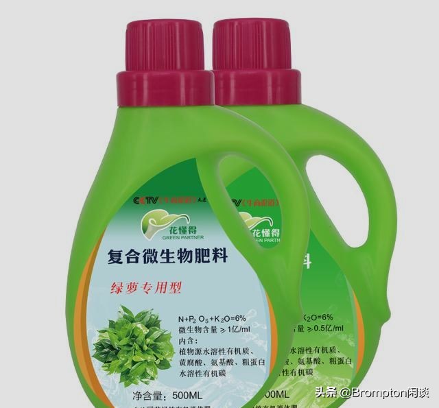 绿萝这样养疯长如瀑布半月长爆盆,为啥酱油水浇过绿萝之后绿萝疯长