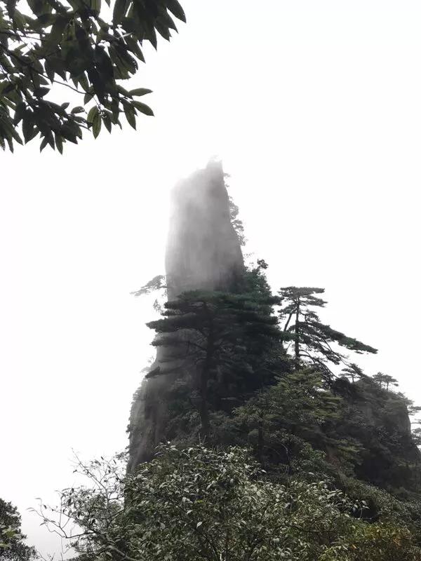 手拍世界,手拍世界作品专集