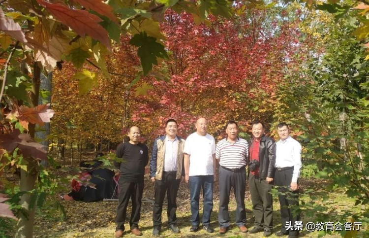 金秋旅游视频模板,国庆郯国古城游玩攻略