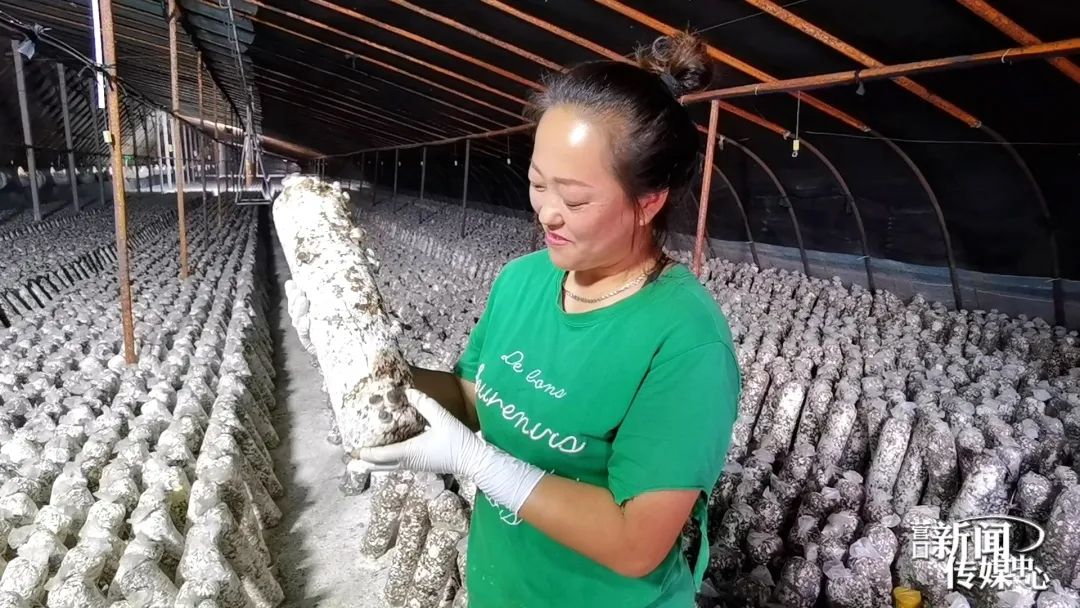 市界行看小康⑰丨新立东村:“小伞”撑起致富梦