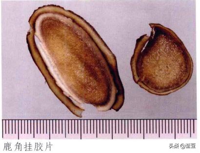 鹿茸造假事件,鹿茸造假手段有哪些