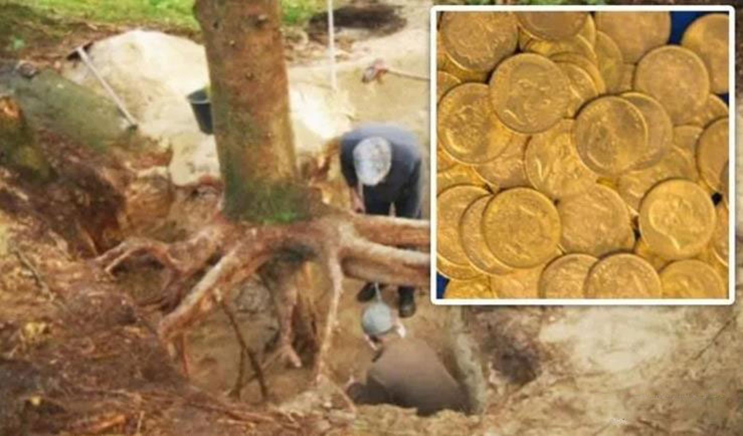 发现纳粹德国留下来的宝藏,法国二战遗留的黄金宝藏