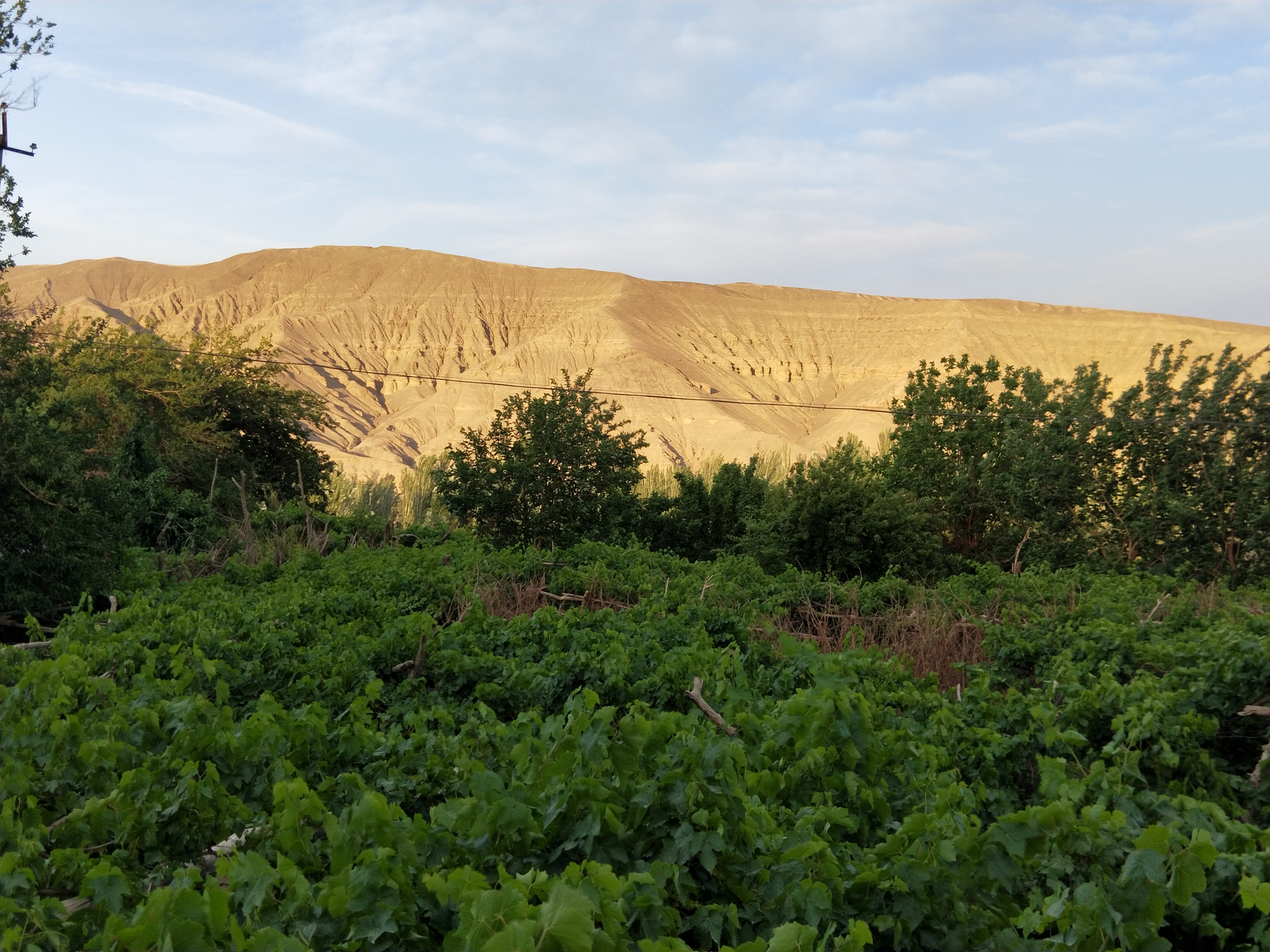 吐鲁番特点和气候,吐鲁番气候和风土人情