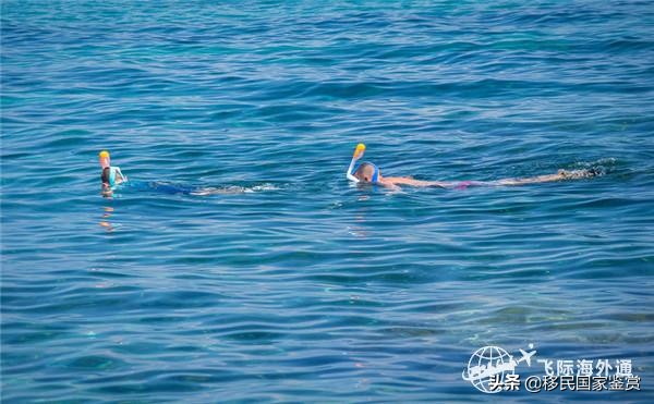 希腊移民有哪些优劣势?