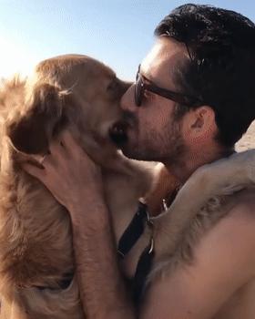 养什么狗好不爱叫,养什么狗不拆家不生病