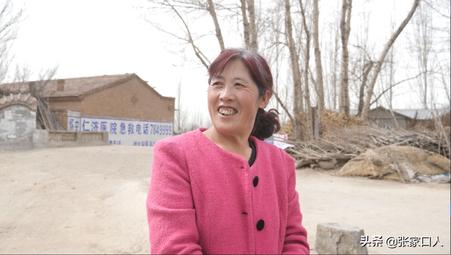 张家口各个县特色美食,张家口各县区的特色美食