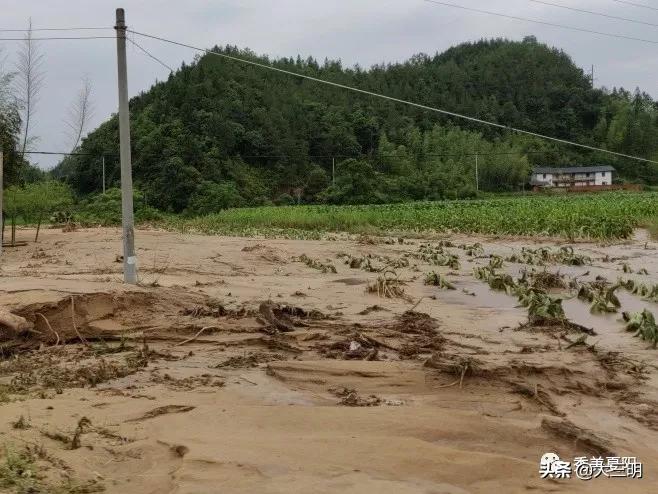灾后城房重建工作情况汇报,乡政府灾后重建情况汇报