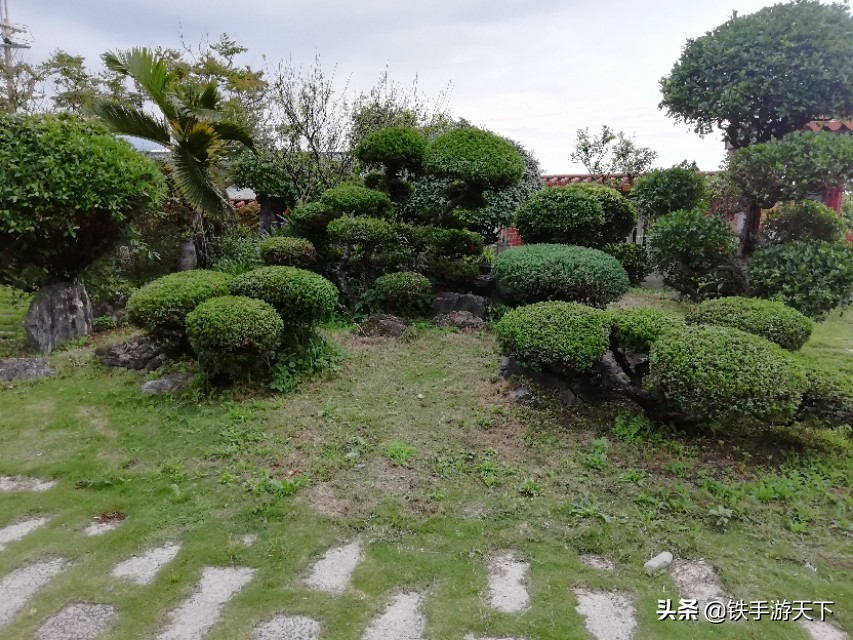 台湾环游记完整视频,台湾花莲游记