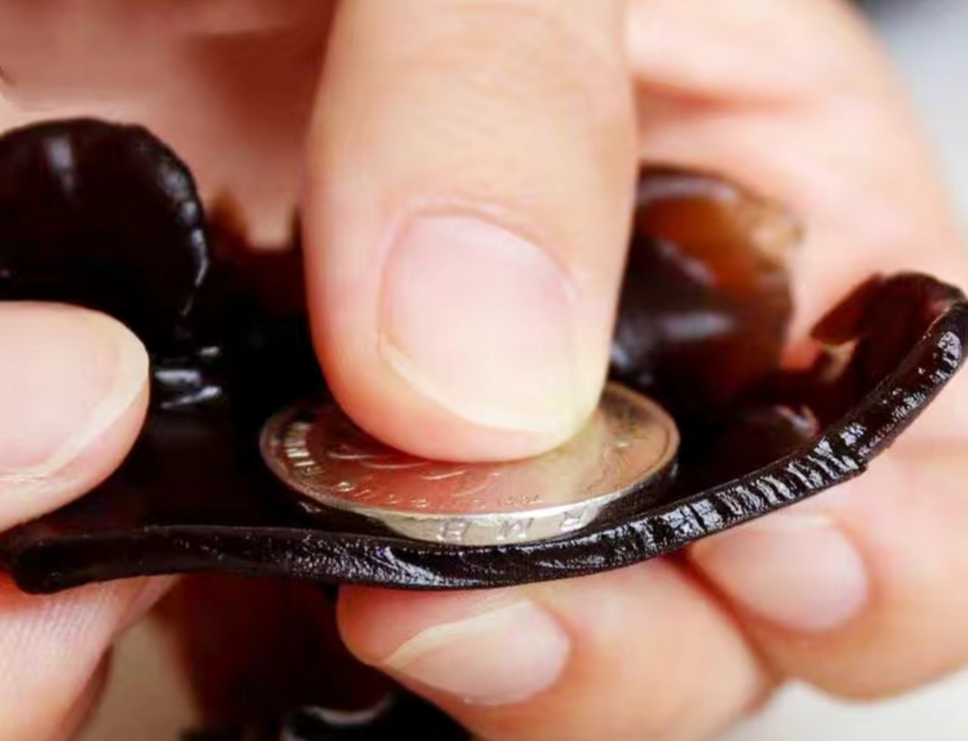 中国打造木耳之乡,中国木耳产地排行榜