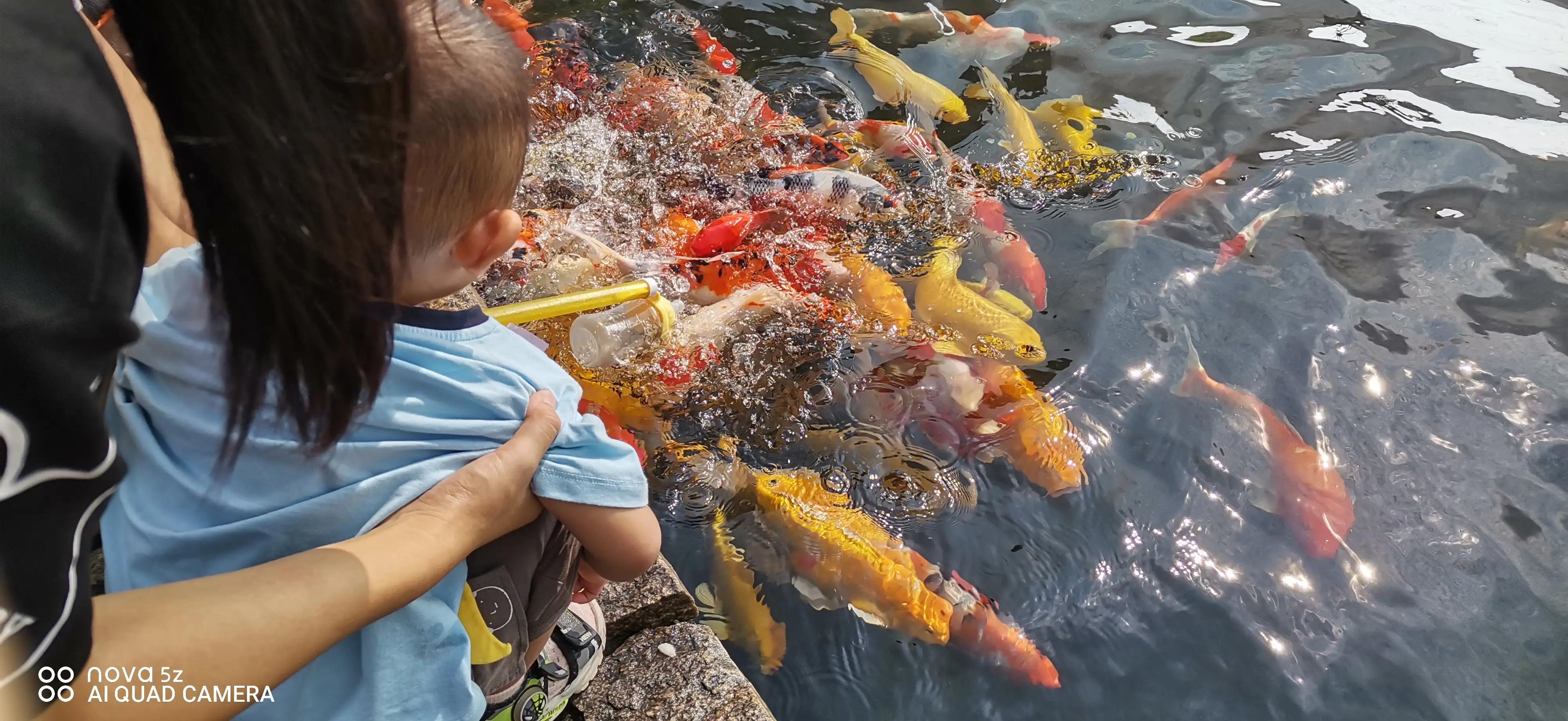 甘坑客家小镇小凉帽农场好玩吗,甘坑古镇客家小镇