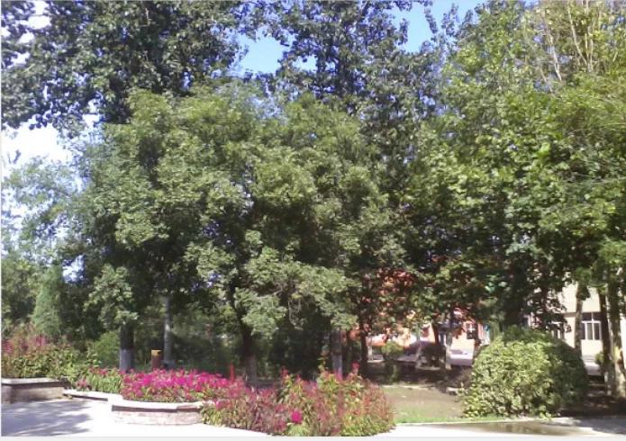 河北政法职业学院新校区,下一站华东政法大学