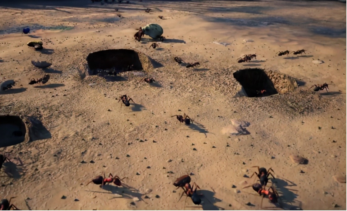 蚂蚁建地下王国,建设城市会考虑蚂蚁么