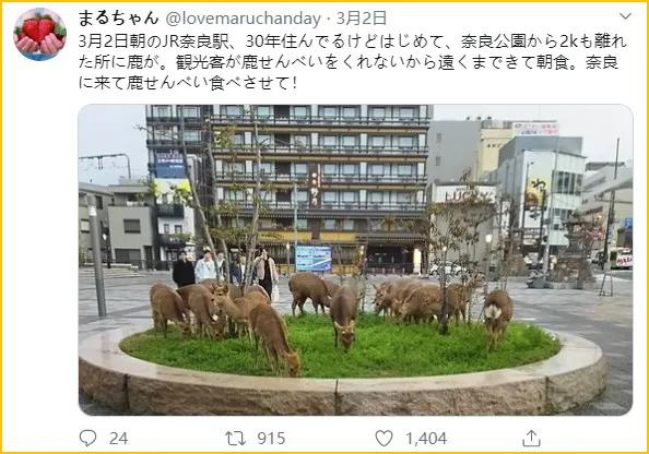 少了中国游客，整个旅游生态圈都乱了！