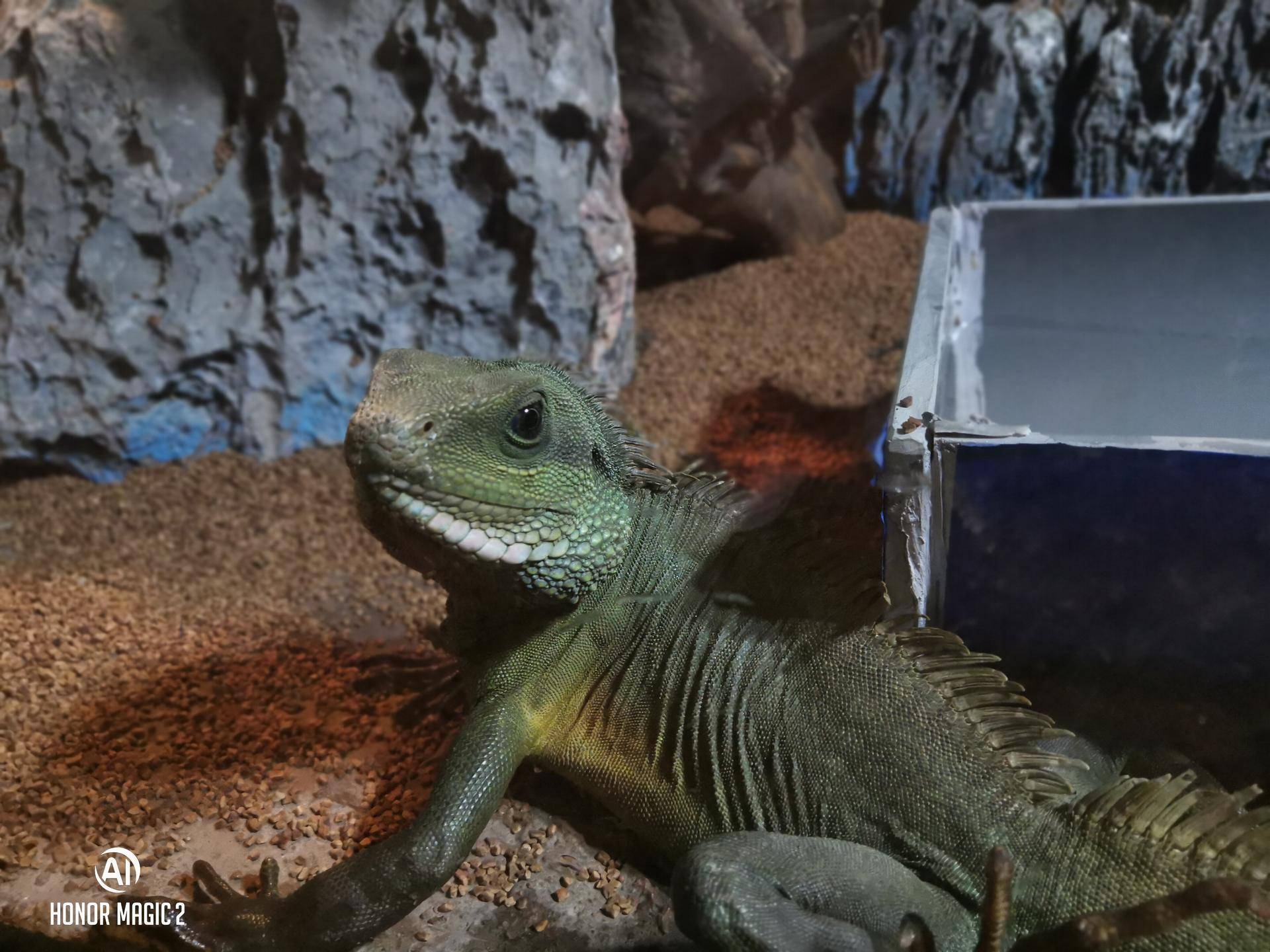 荣耀magic23d感光,体验未来后续