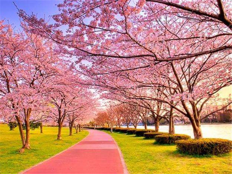 日语学习|8个表示“在…时候”的语法,全认识给你一颗棒棒糖